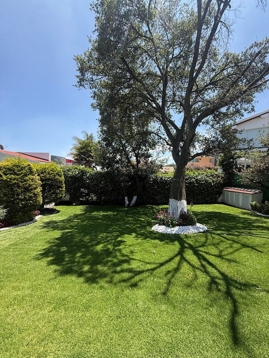Jardín trasero, foto 1 de 36