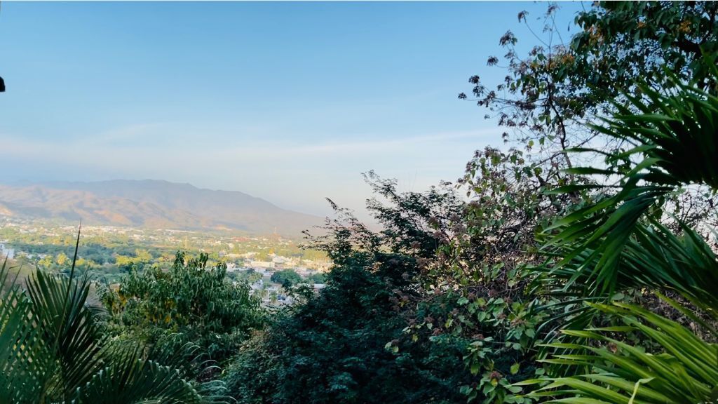 Vista desde elterreno