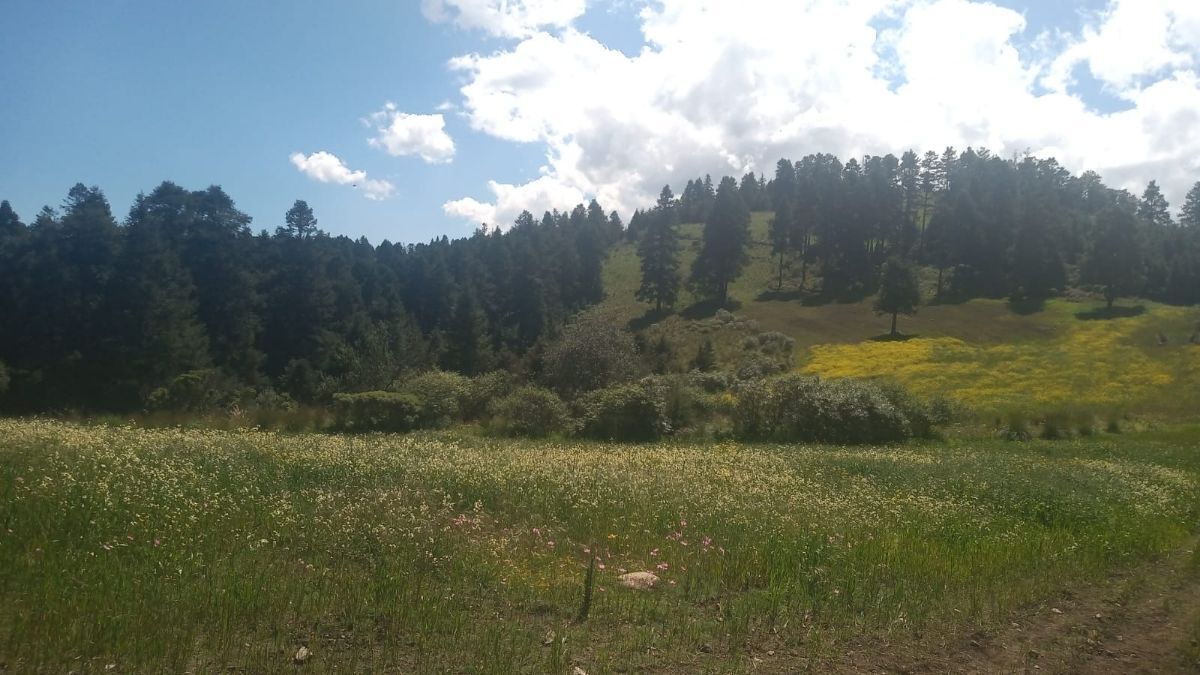 SE VENDE TERRENO A UN COSTADO DE RESERVA SANTA FE Y DE LA MARQUESA - foto 1