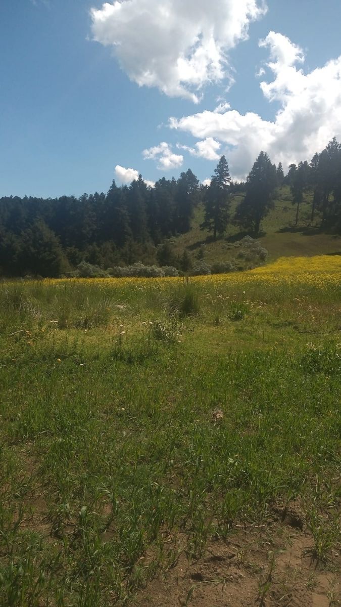 SE VENDE TERRENO A UN COSTADO DE RESERVA SANTA FE Y DE LA MARQUESA - foto 3