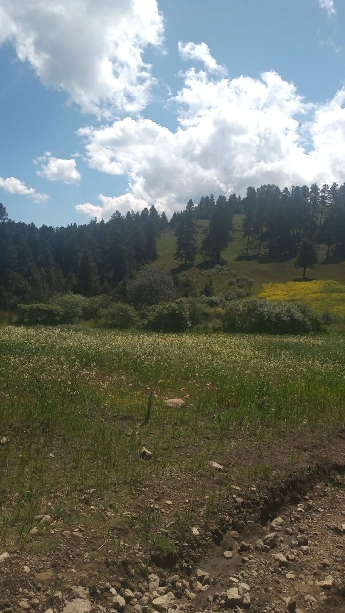 SE VENDE TERRENO A UN COSTADO DE RESERVA SANTA FE Y DE LA MARQUESA - foto 2