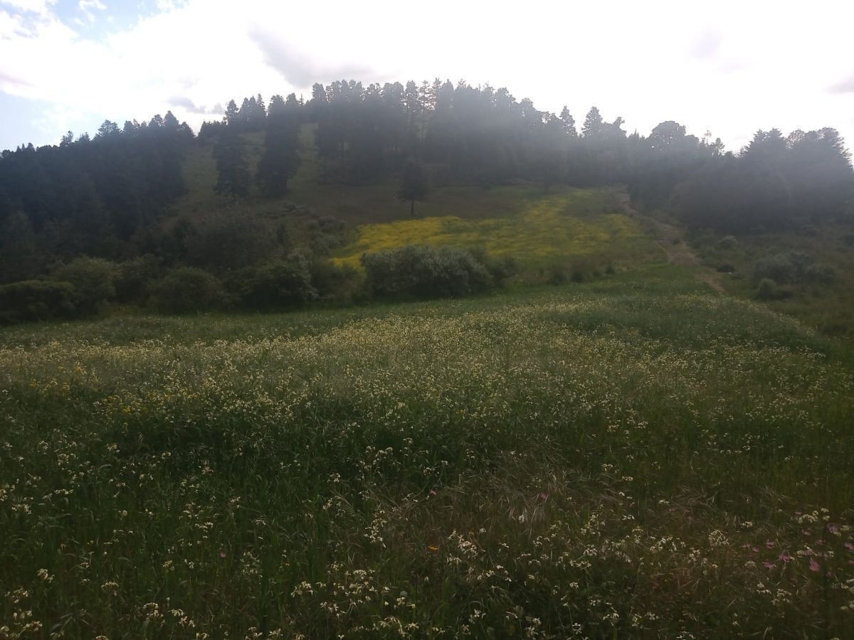 SE VENDE TERRENO A UN COSTADO DE RESERVA SANTA FE Y DE LA MARQUESA - foto 5