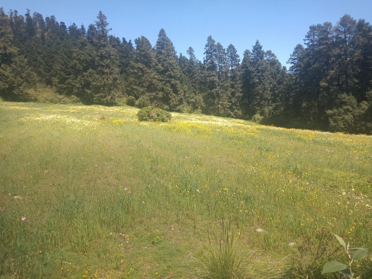 SE VENDE TERRENO A UN COSTADO DE RESERVA SANTA FE Y DE LA MARQUESA - foto 4