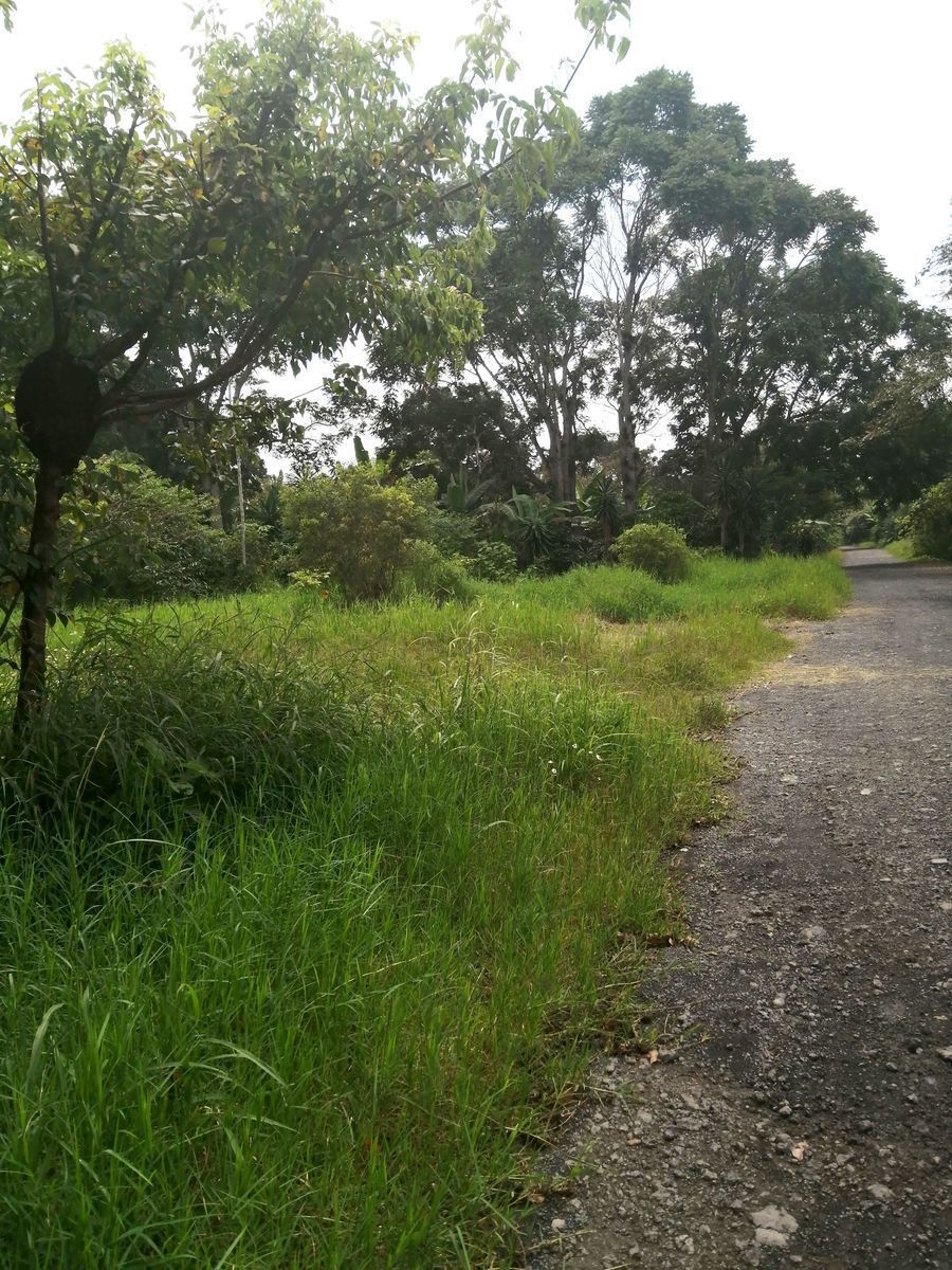 Terreno en Agustin Millán, Córdoba, foto 3 de 5