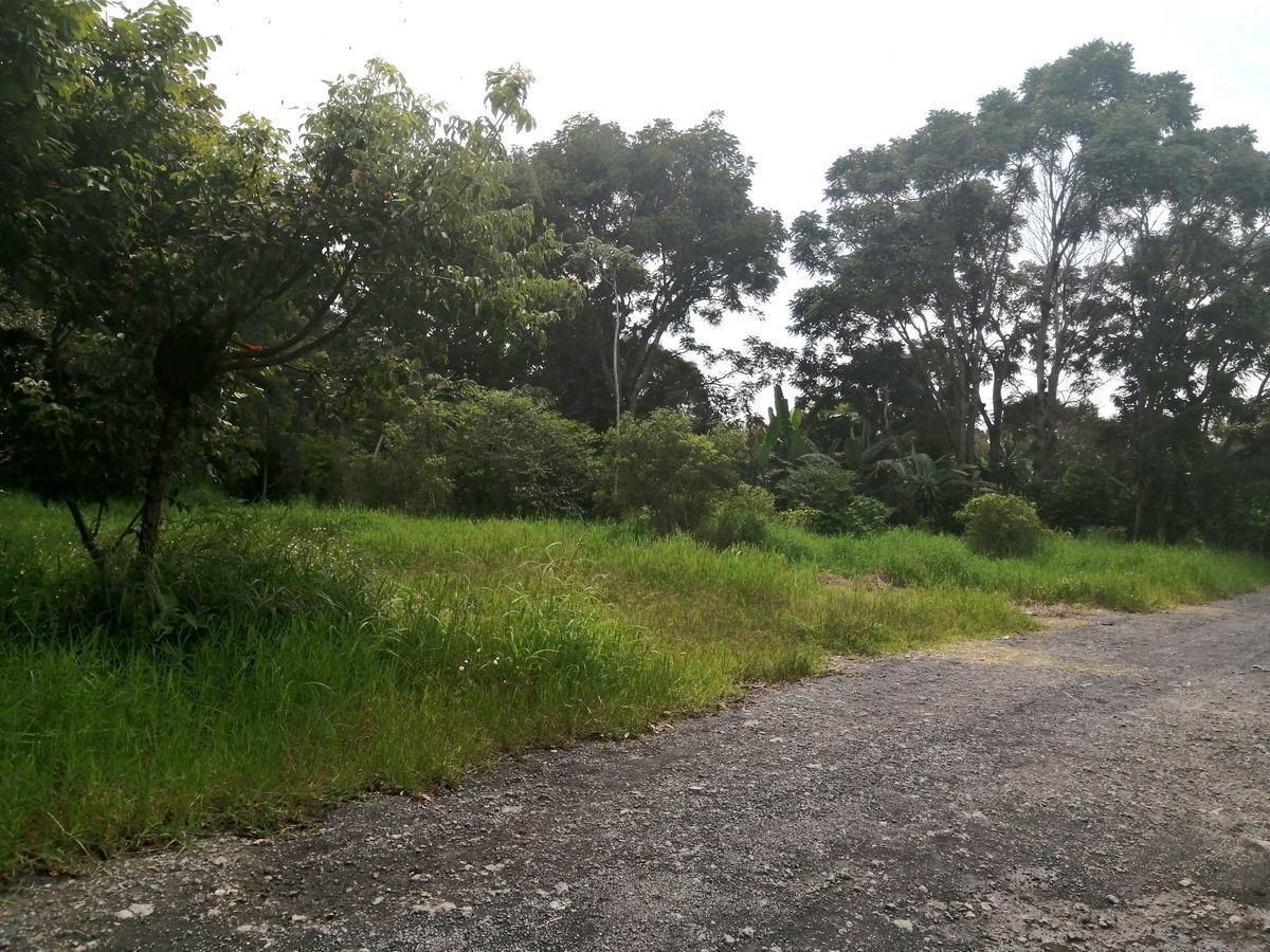 Terreno en Agustin Millán, Córdoba, foto 5 de 5