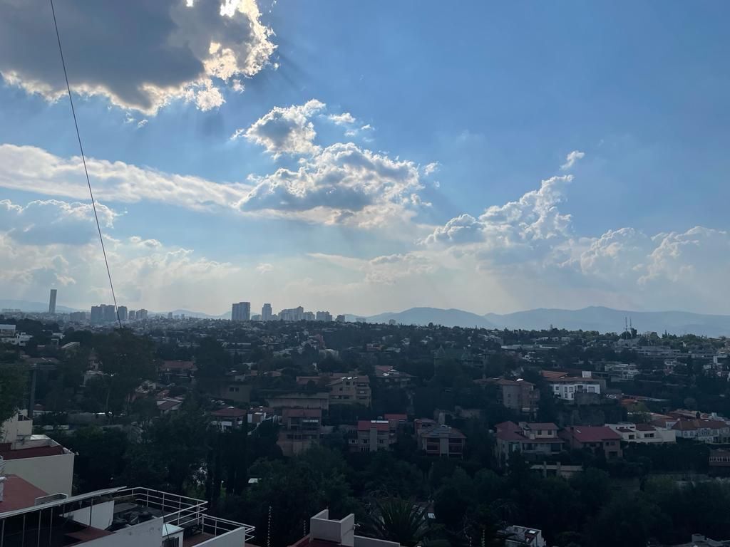 11 de 36