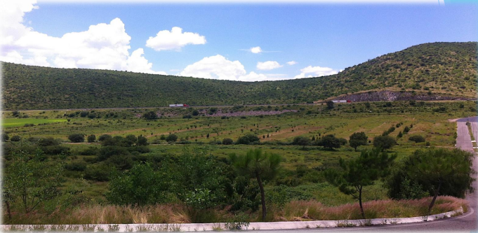 1 de 5: Terreno limpio