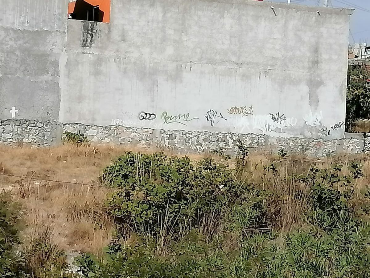 3 de 6