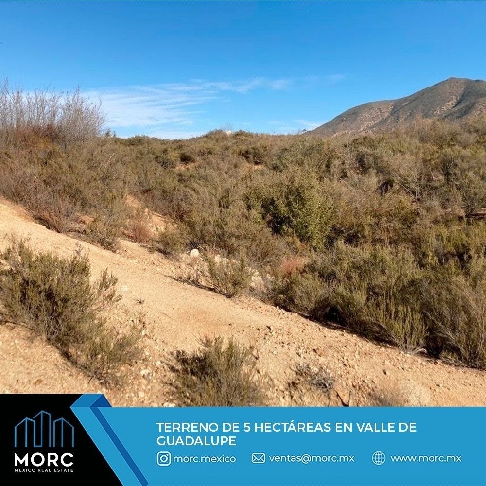 Terreno de 5 Hectáreas en Valle de Guadalupe