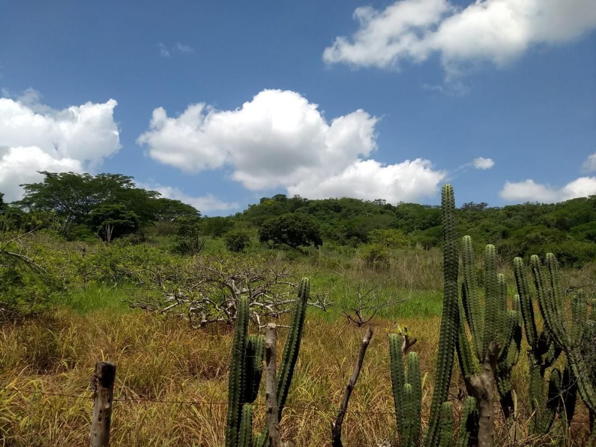 4 de 21
