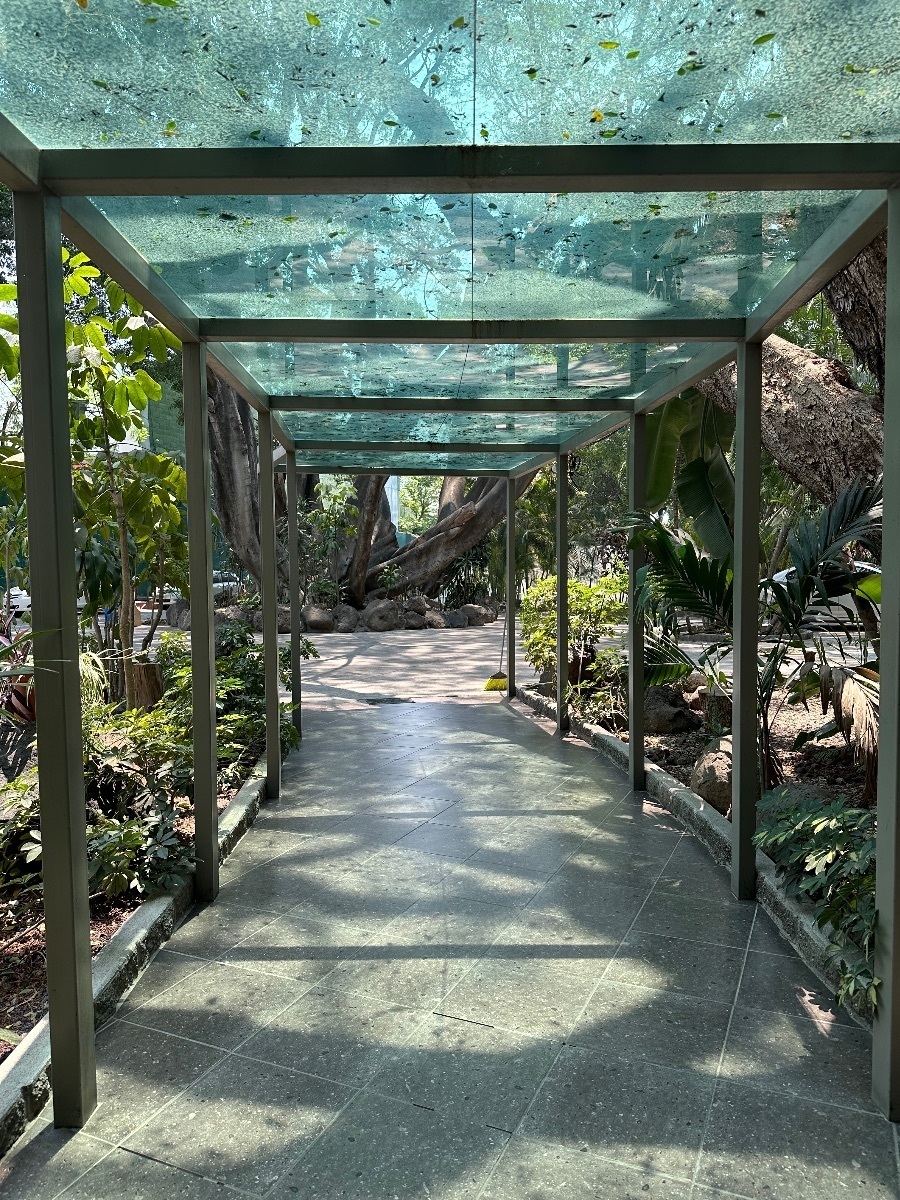 6 of 20