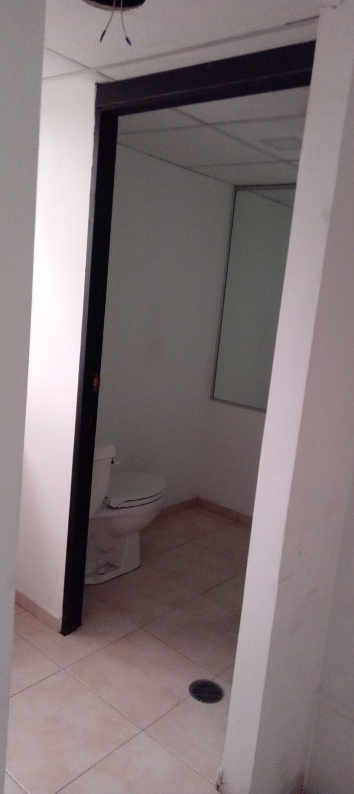 6 de 21