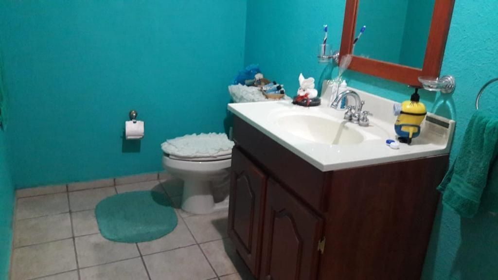 19 de 26