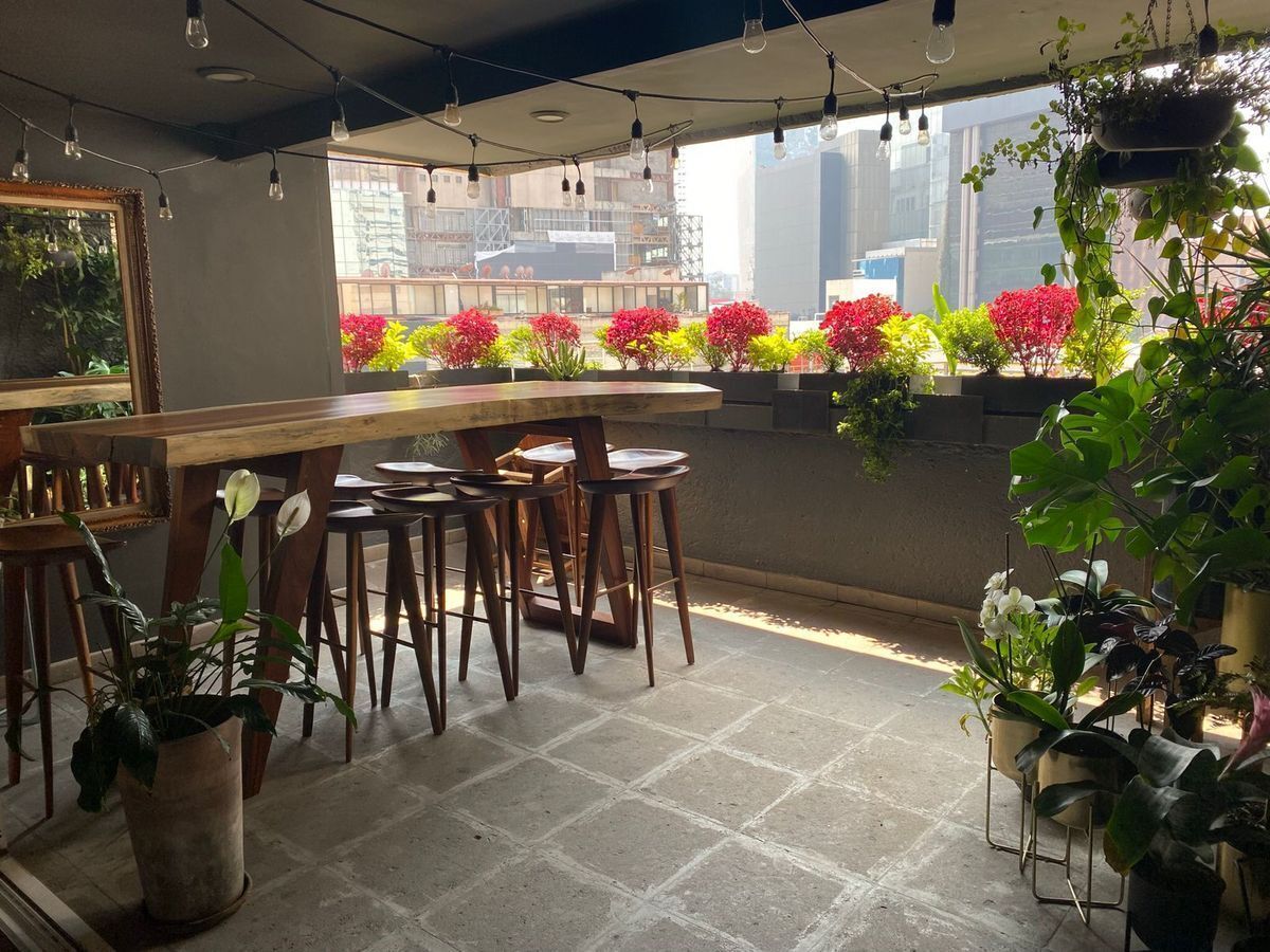 Departamento en Polanco I Sección, Miguel Hidalgo, foto 8 de 23