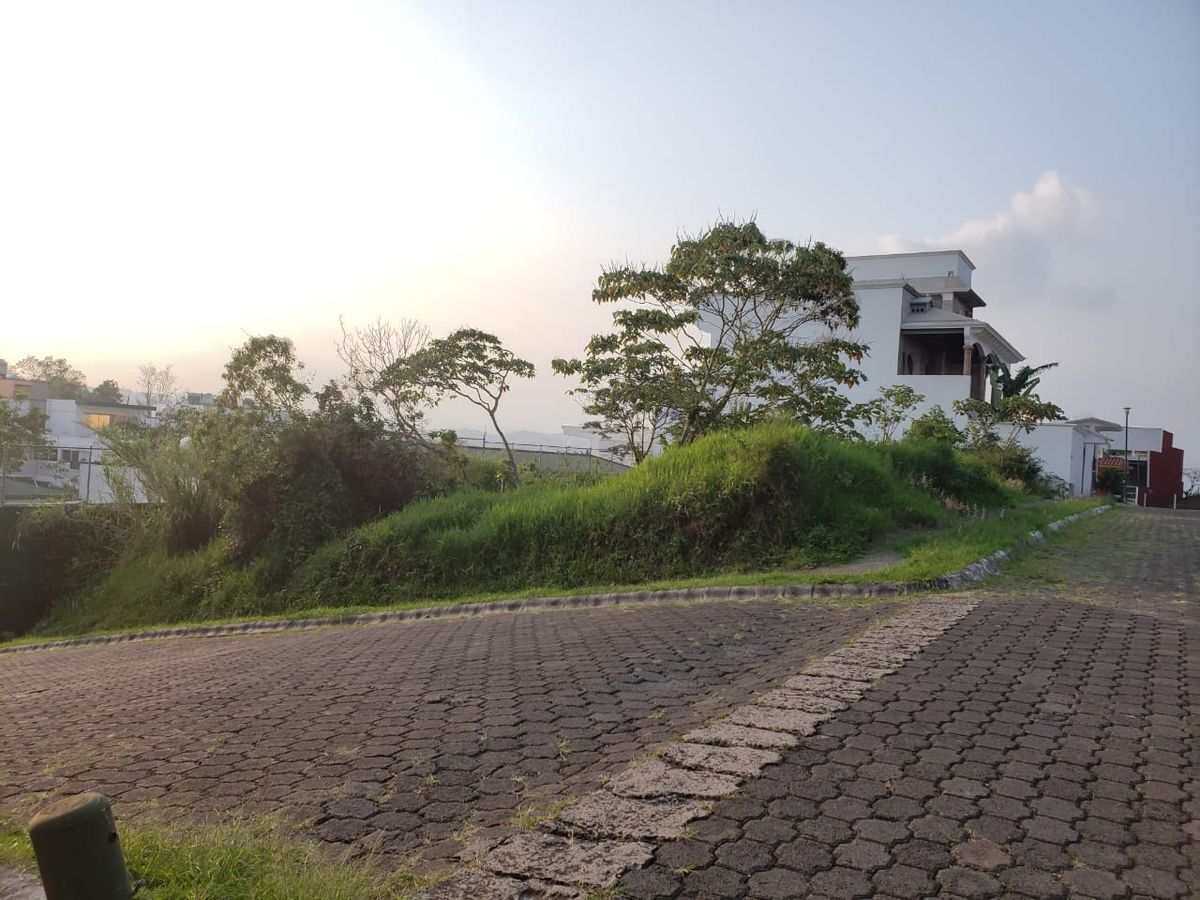 Terreno 306 mts, Calle Perla, junto a Colegio Atenea, Xalapa Terreno 306 mts, Calle Perla, junto a Colegio Atenea, Xalapa