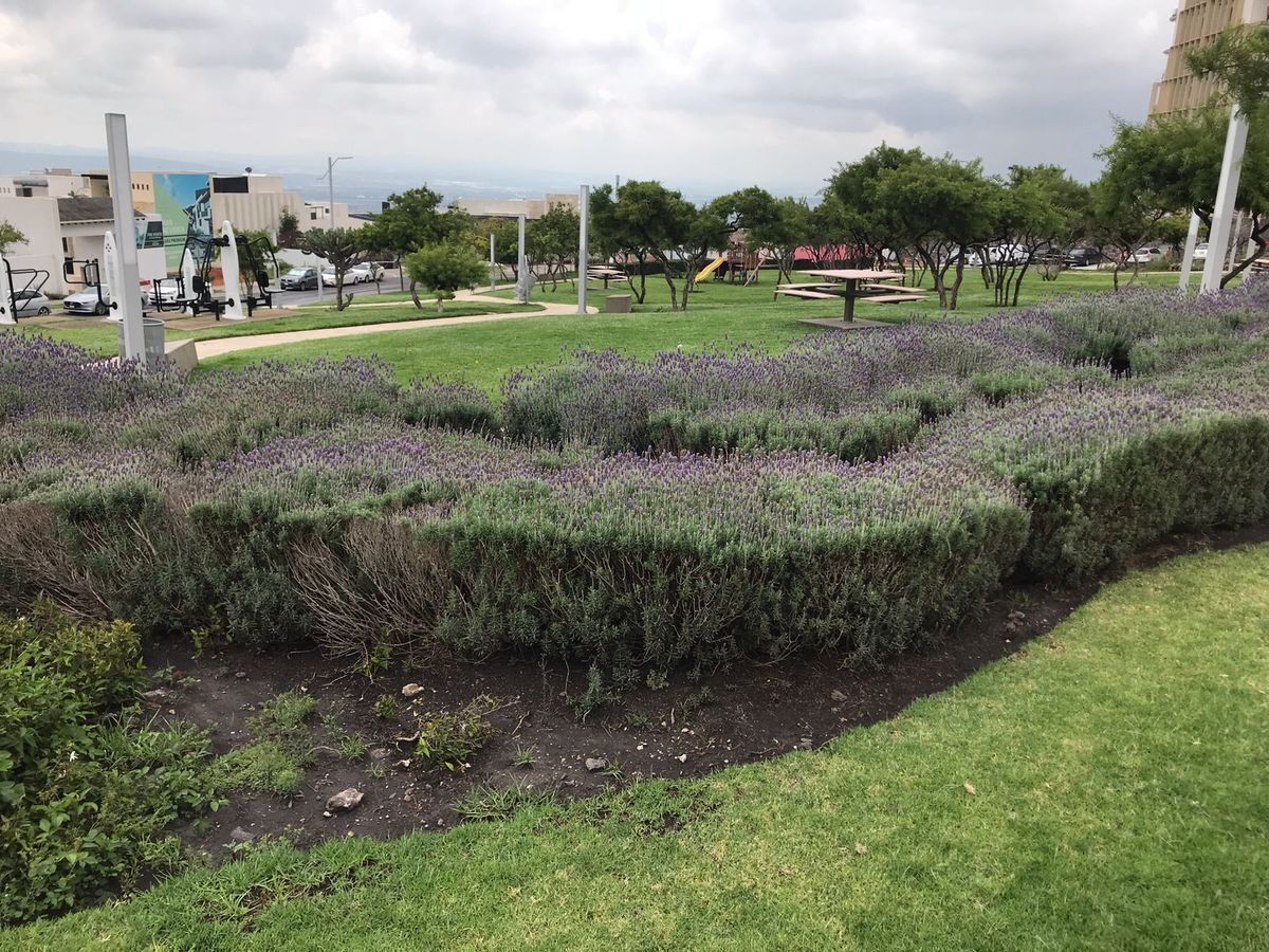 10 de 35