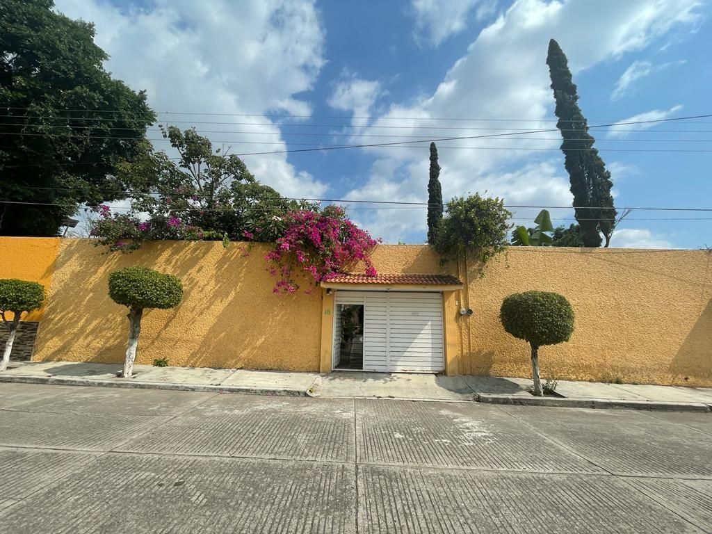 3 de 37