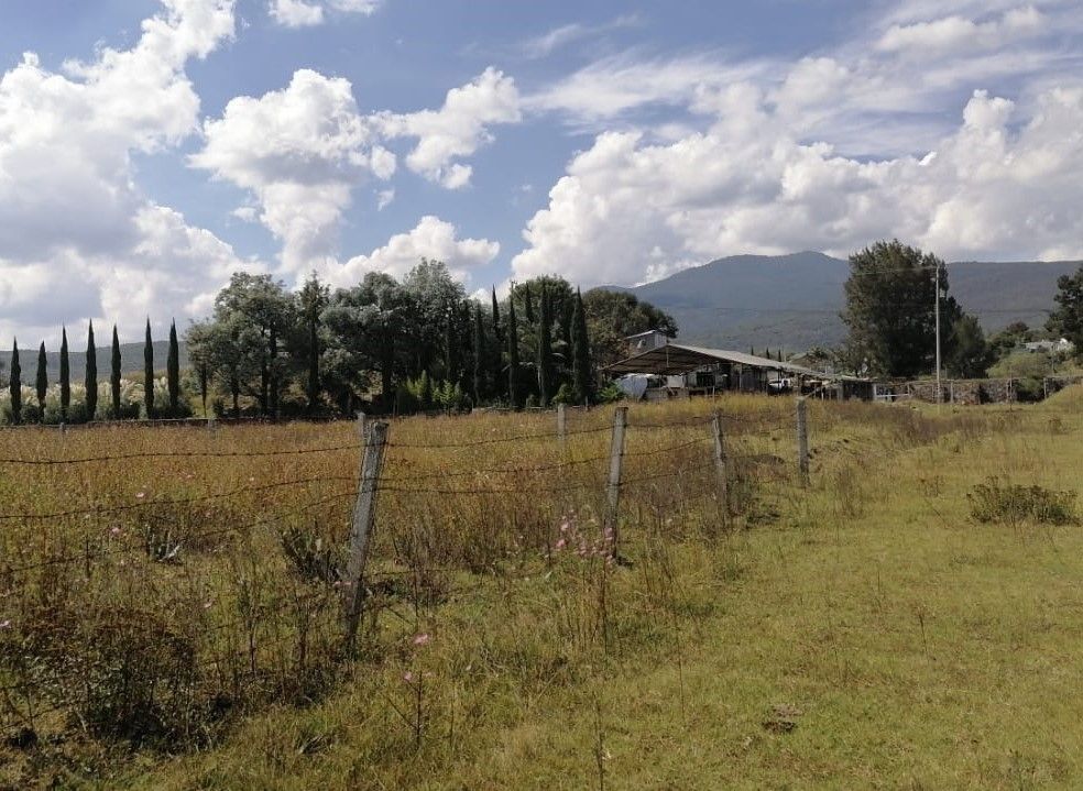 3 de 6