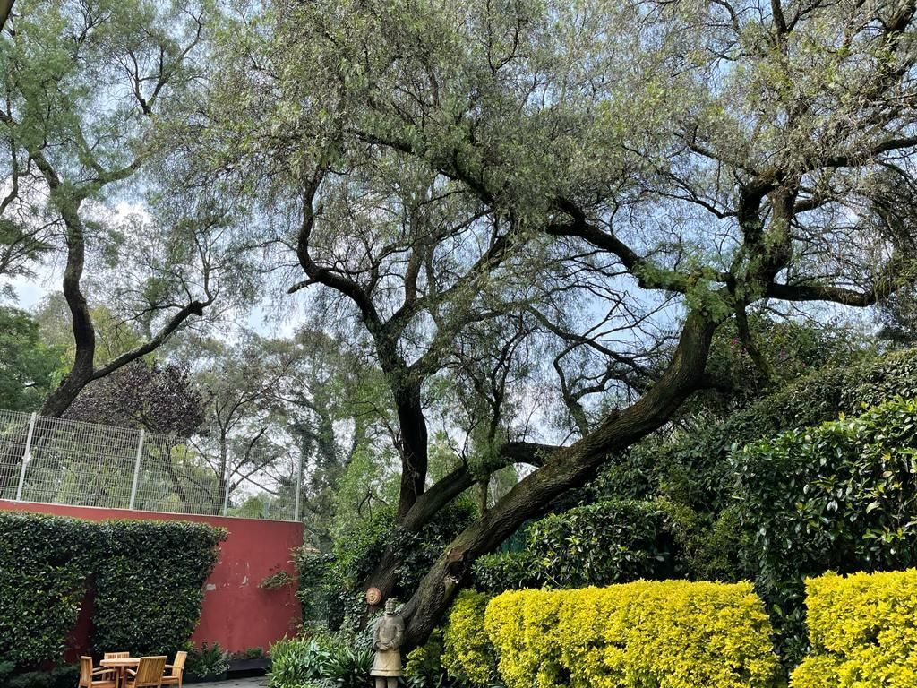 Casa en Lomas de Chapultepec III Sección, Miguel Hidalgo, foto 19 de 26