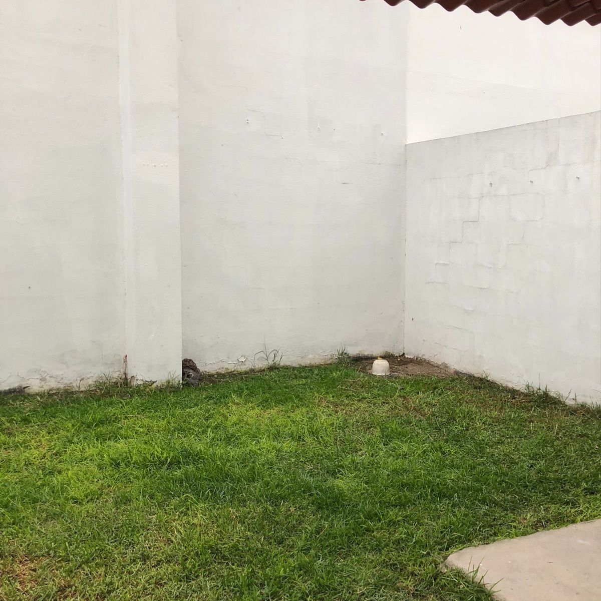 7 de 34
