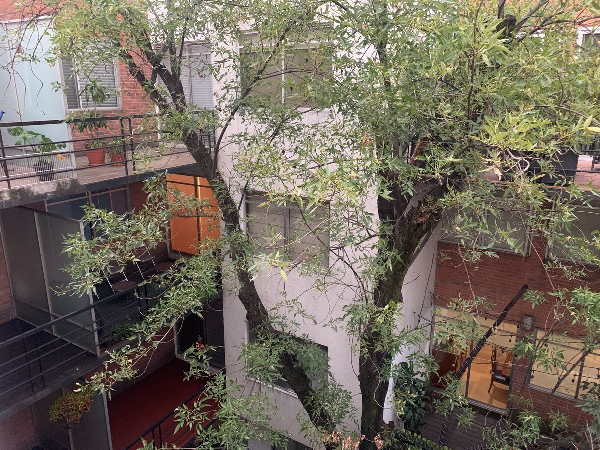 Renta Departamento con terraza, foto 1 de 15
