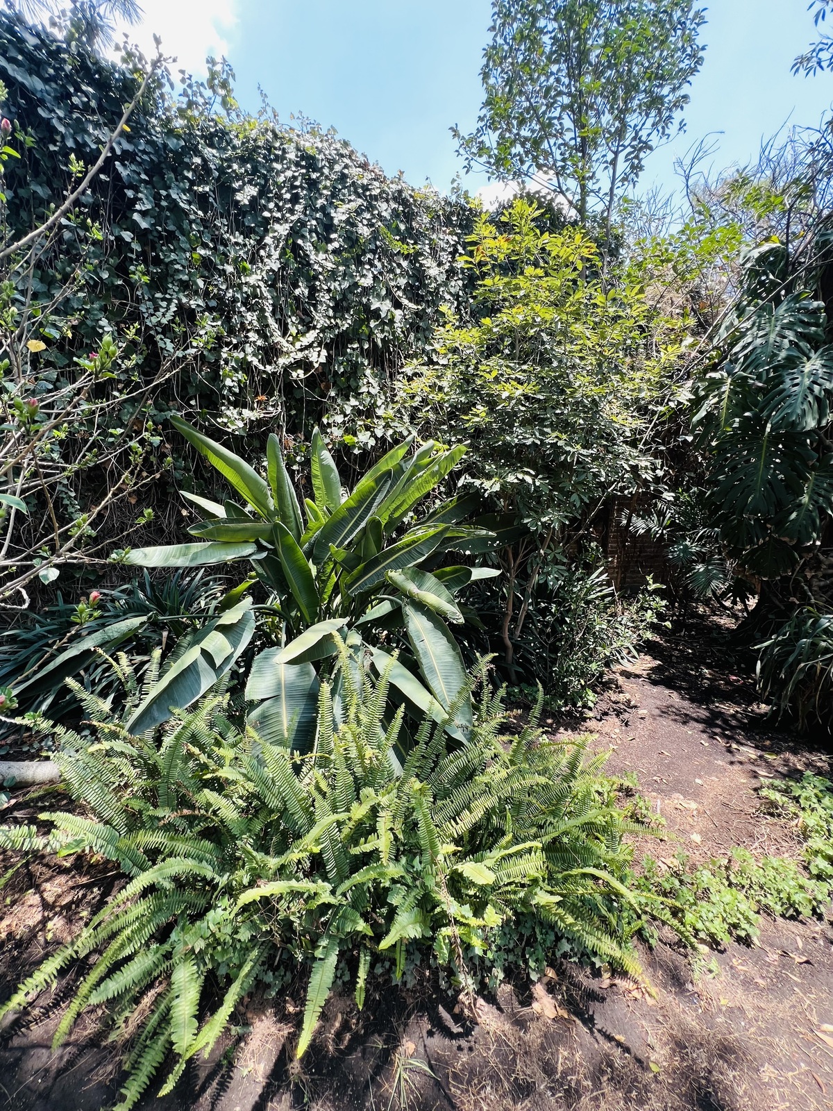 5 de 44