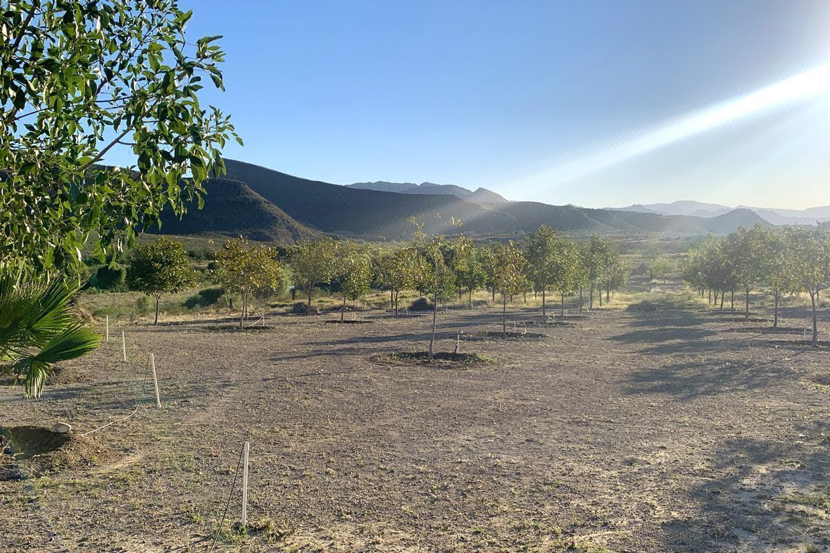Rancho en VENTA con nogales en Ramos Arizpe