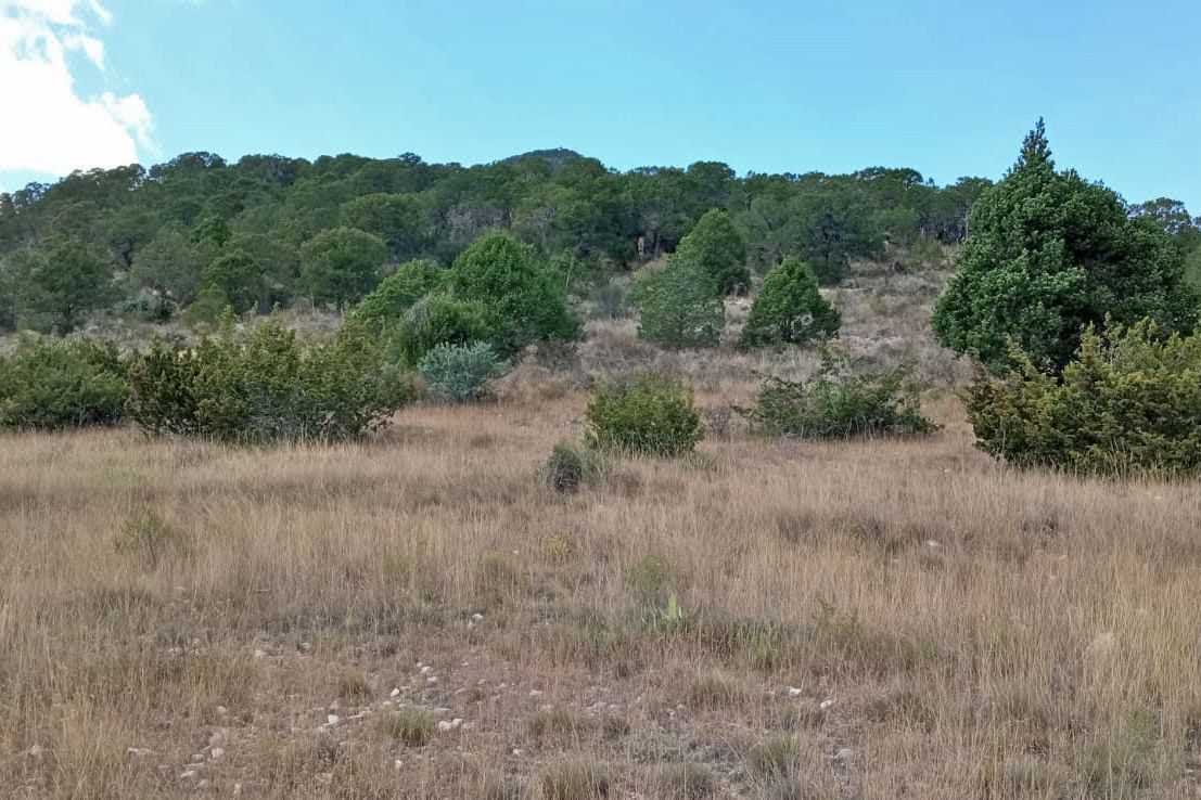 Terreno Campestre en VENTA en Los Llanos, Arteaga