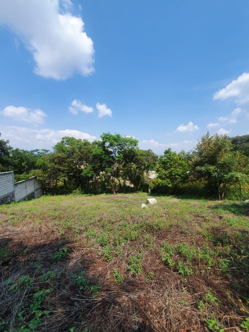 2 de 9: Hermosa vista desde el terreno con una superficie de 600 M2