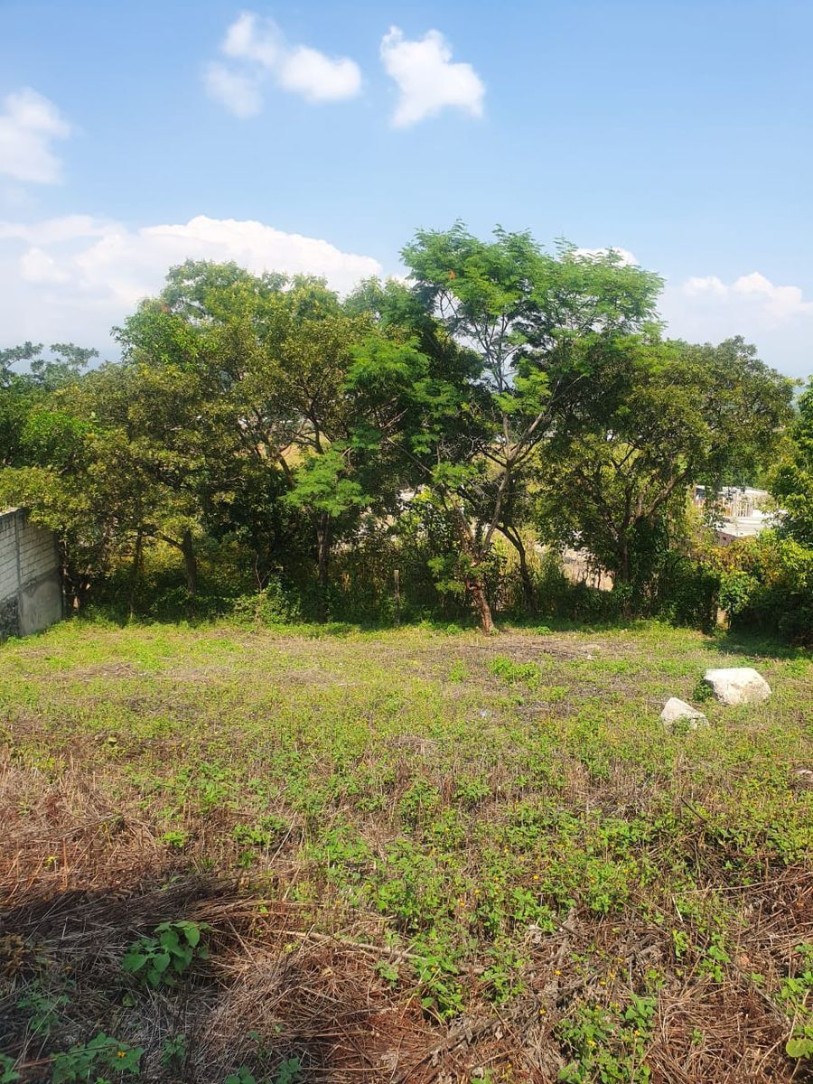 7 de 9: Se entrega limpio