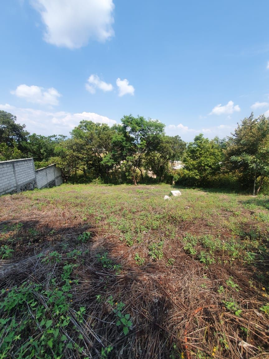 1 de 9: Terreno con leve inclinación