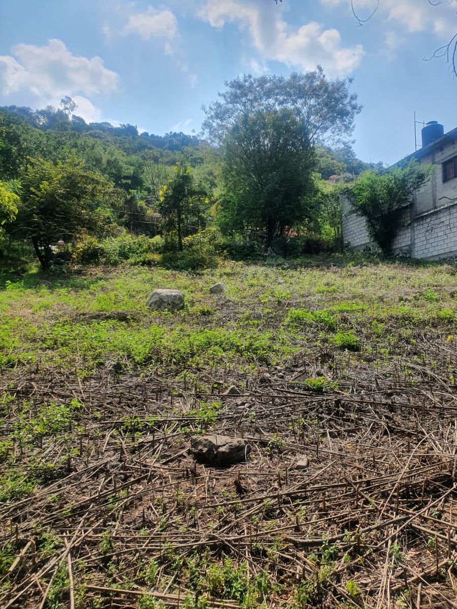 8 de 9: Esta dentro de zona urbana-