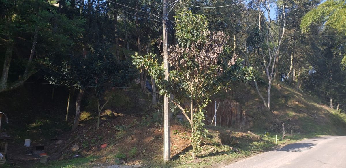 Terreno en Briones, Coatepec, foto 4 de 11
