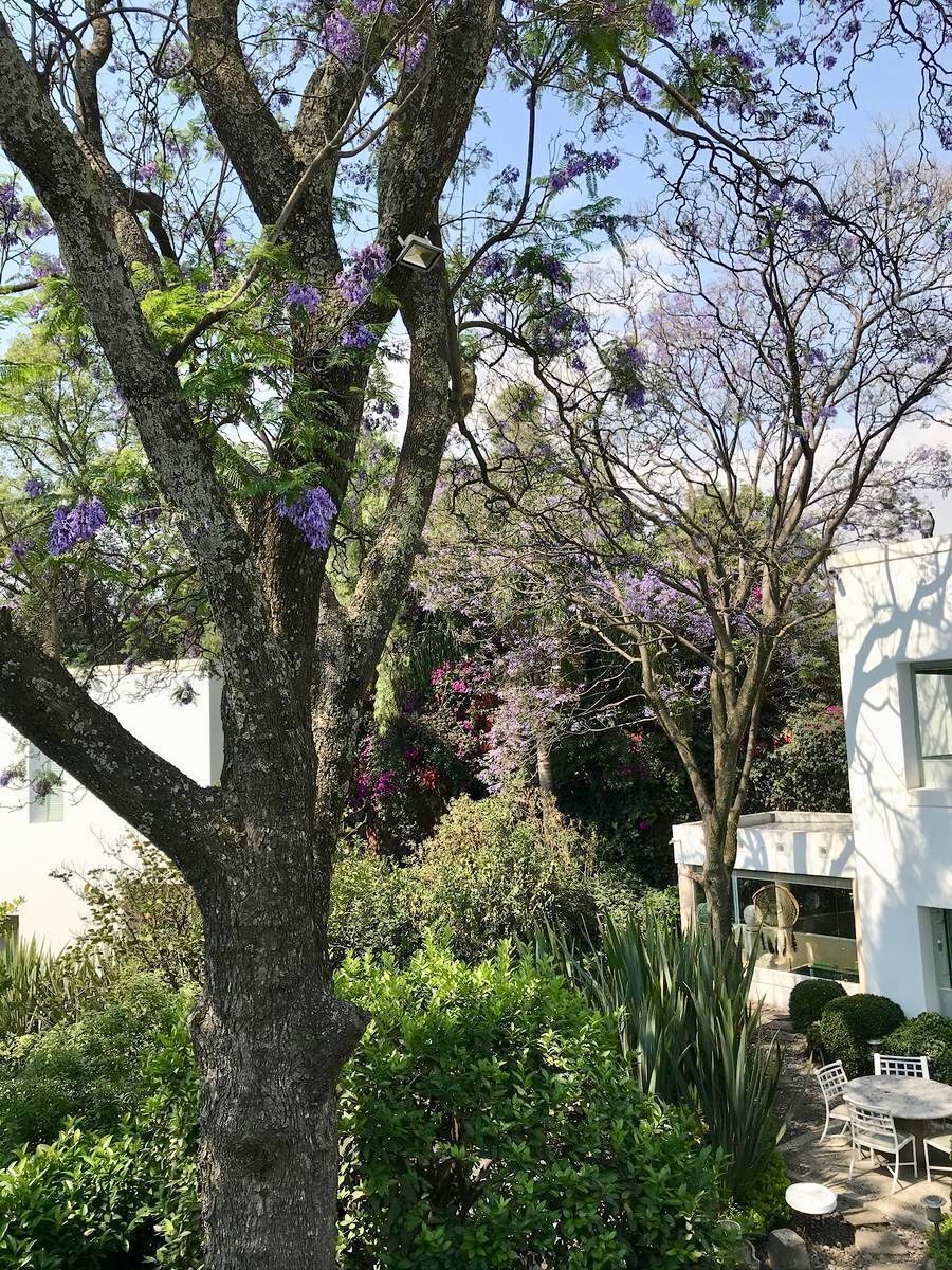 Casa em condomínio fechado em San Ángel, Álvaro Obregón, foto 19 de 20