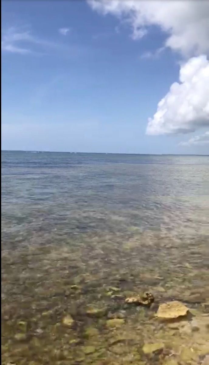 Lote em Mahahual, Othón P. Blanco, foto 12 de 14