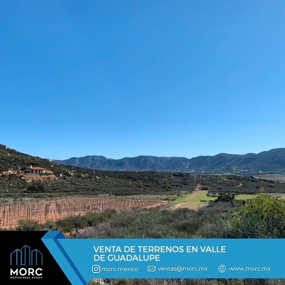 Venta de Terrenos de 2,500 M2 en Valle de Guadalupe