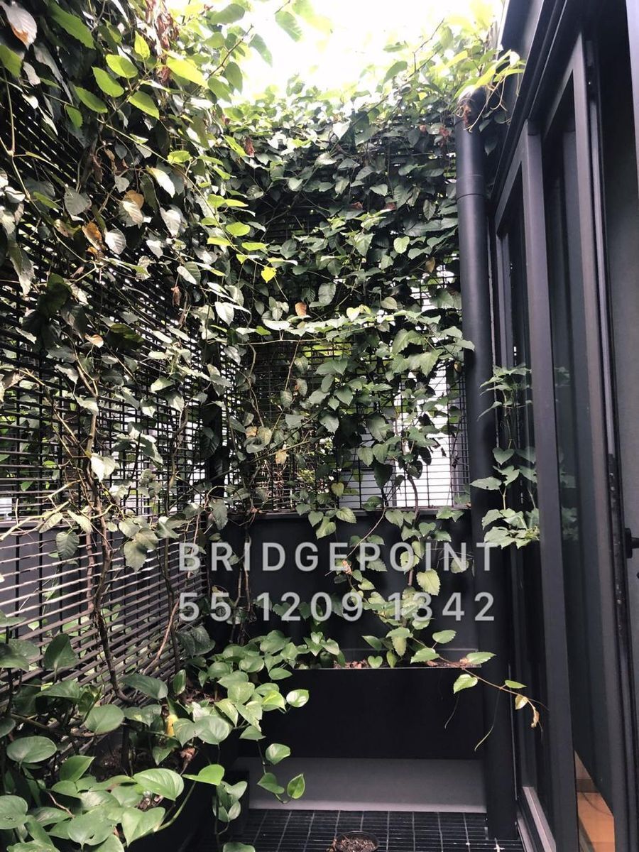 13 of 27: BALCÓN DE LA SEGUNDA RECÁMARA/ ESTUDIO