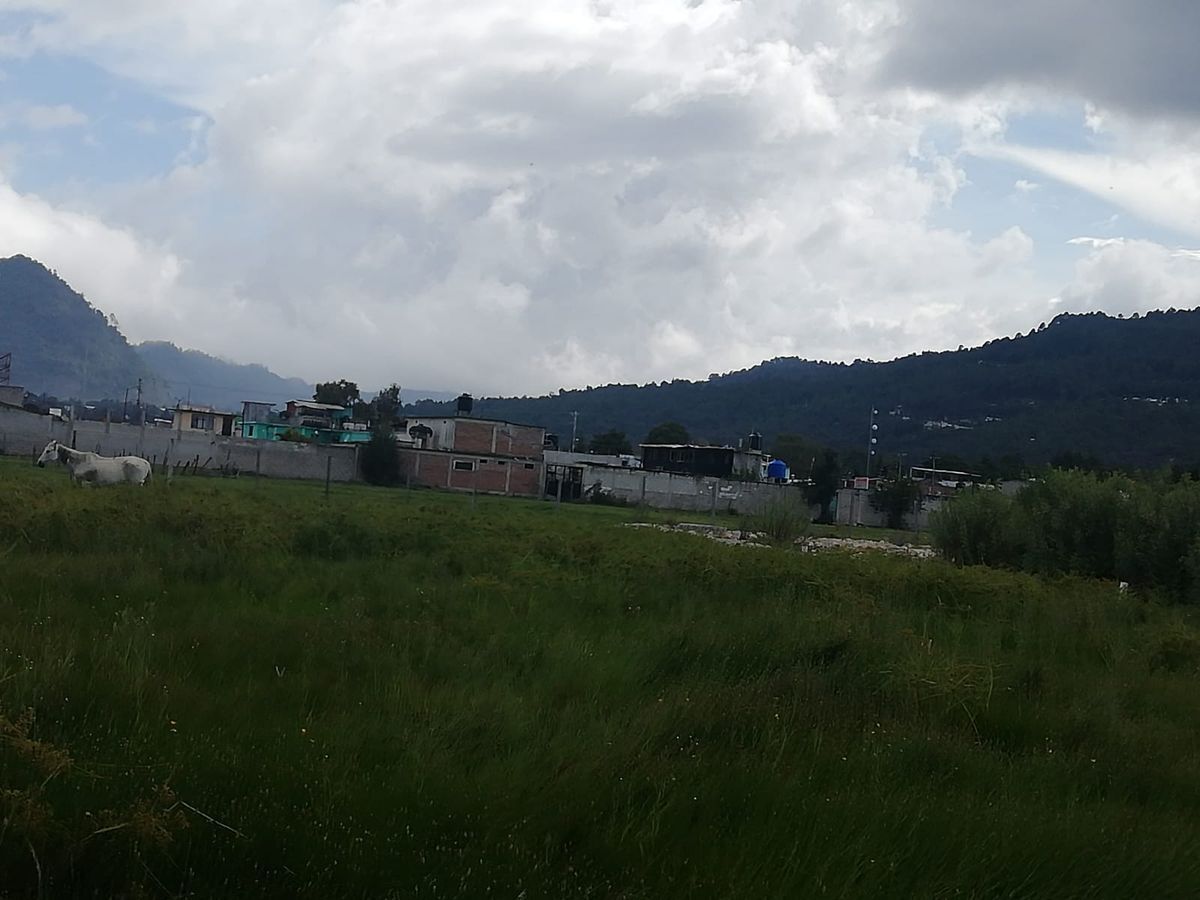 6 de 7
