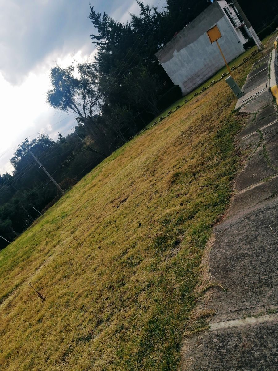 Imagen 3 de 7