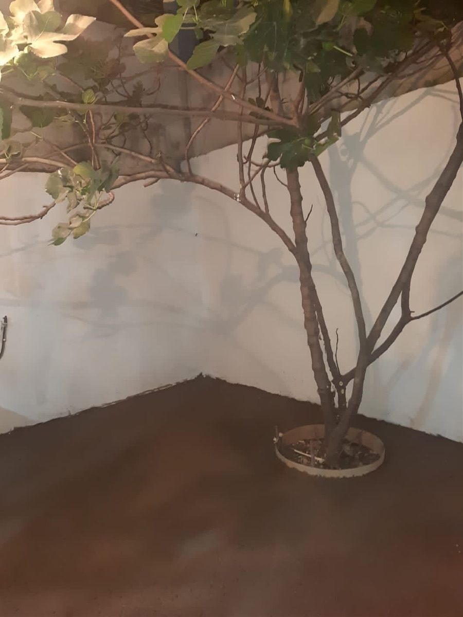 Casa en condominio en Ciudad del Sol, Querétaro, foto 5 de 17