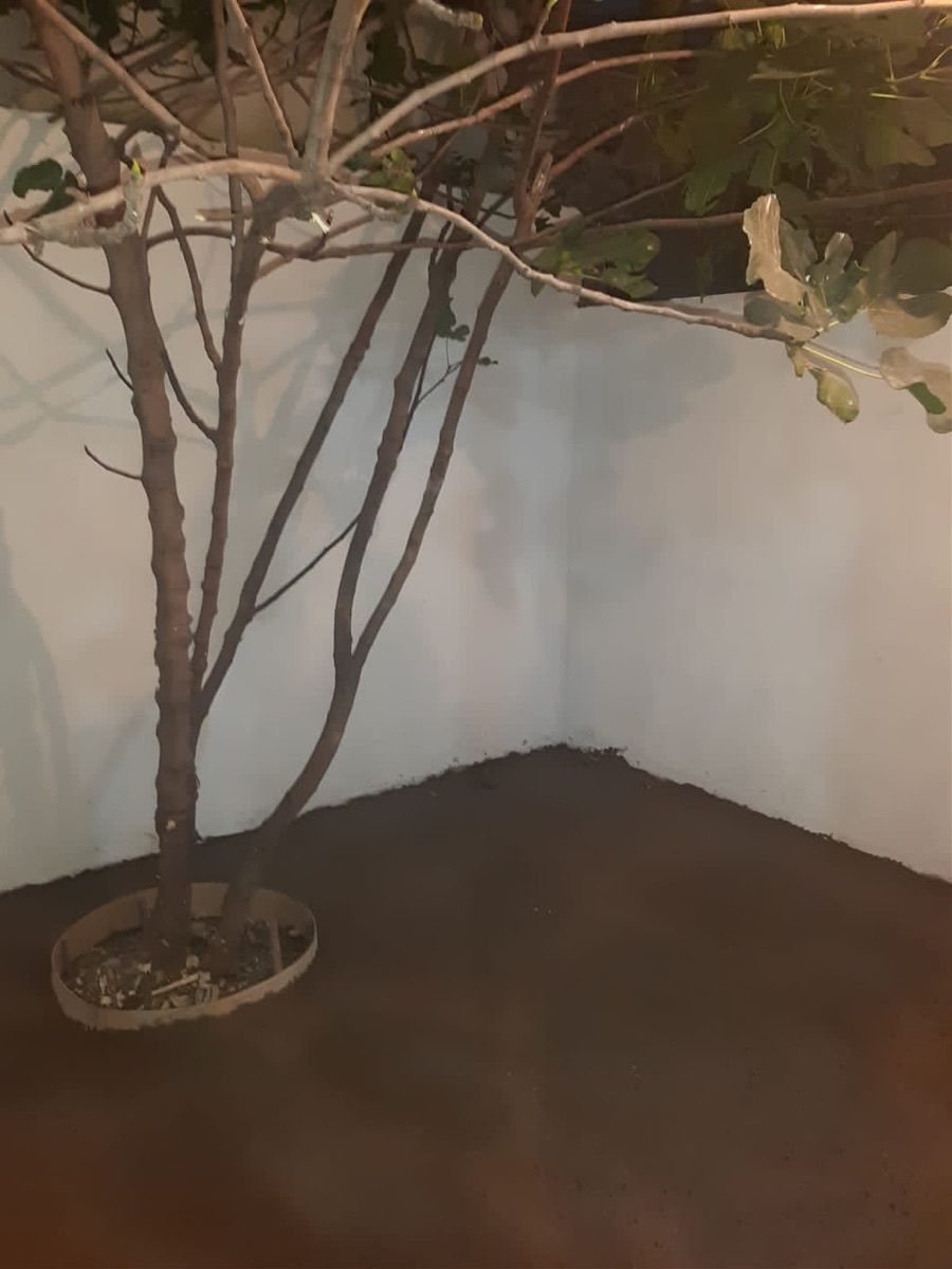 Casa en condominio en Ciudad del Sol, Querétaro, foto 12 de 17