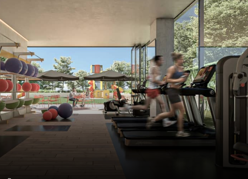 4 de 12: Gym