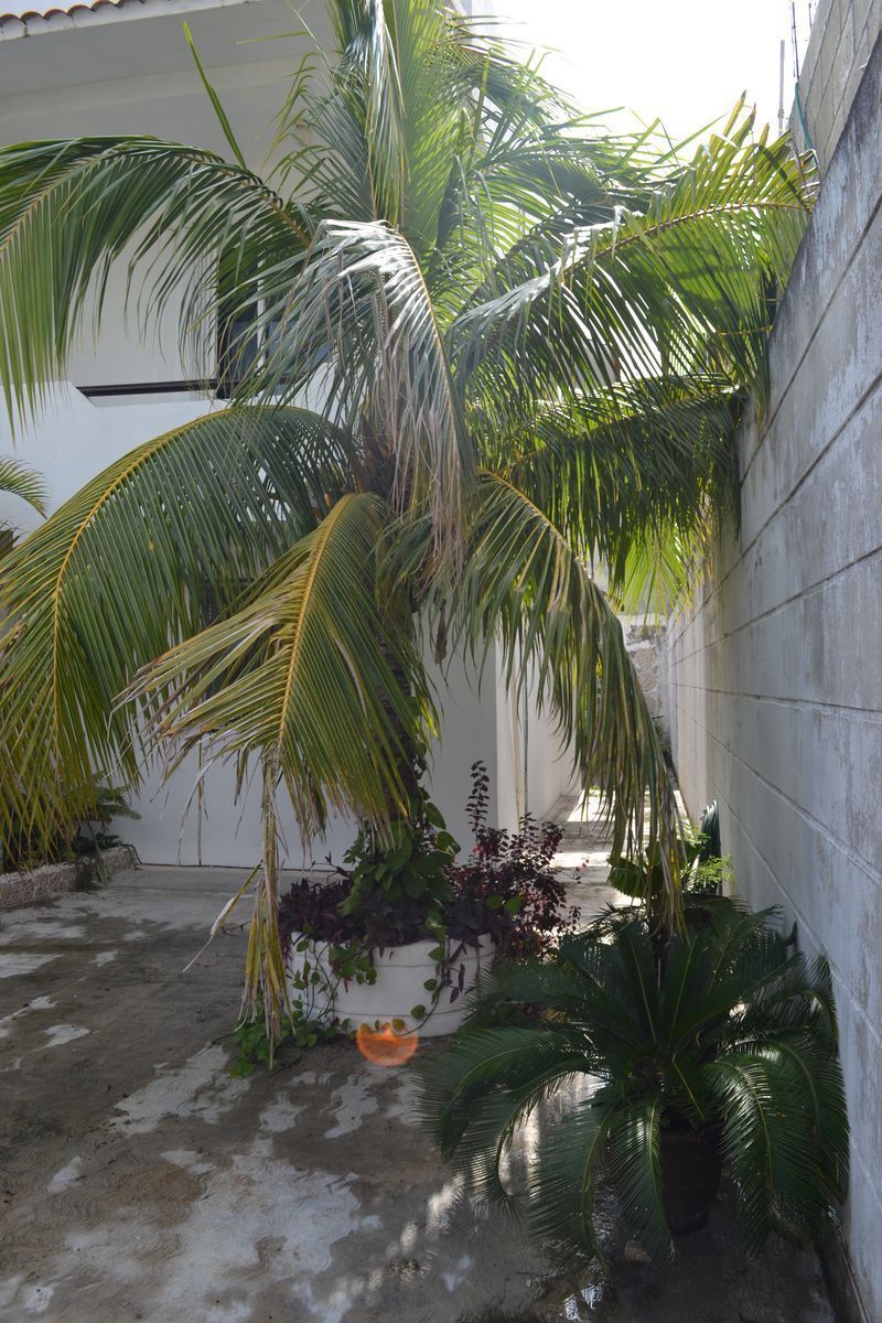 9 de 29