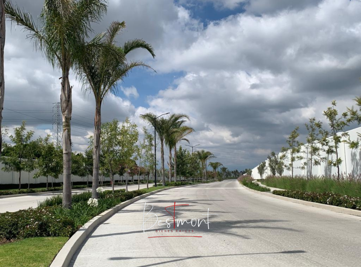 11 de 12: Entorno Nubia