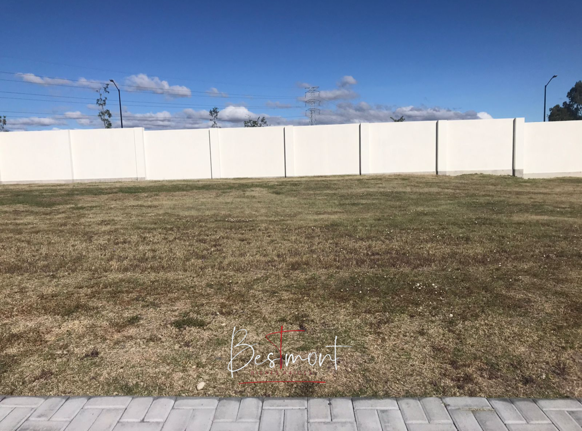3 de 12: Lote Pizarra 16