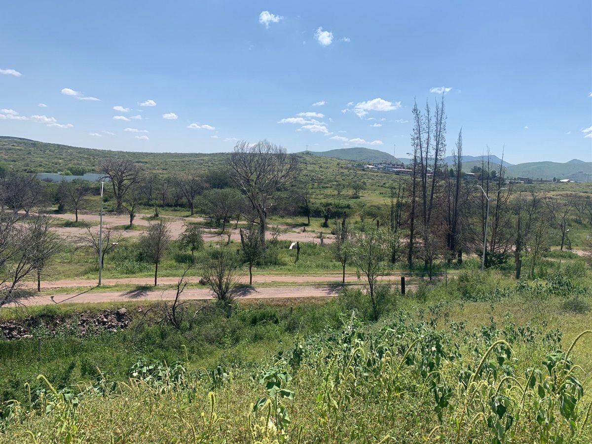 Lot in Área Recreativa El Herradero, Chihuahua, photo 3 of 7