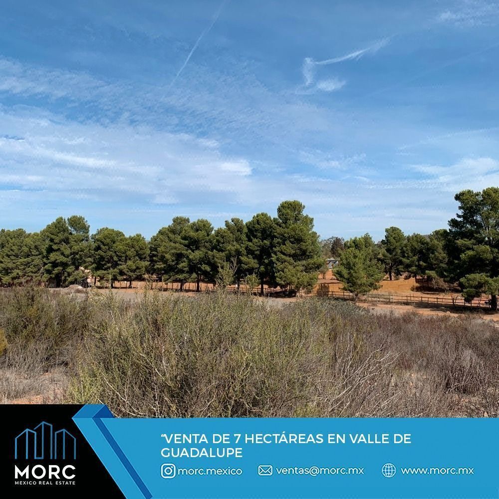 7 Hectáreas en Venta en Valle de Guadalupe