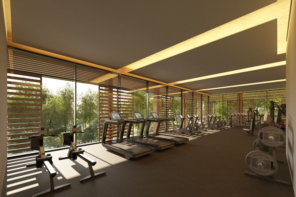 Gimnasio