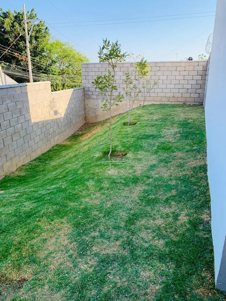 12 de 21: Jardin a un lado del edificio