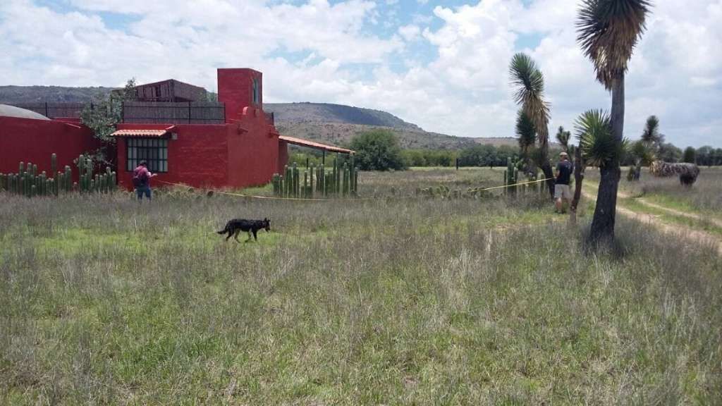 5 de 6
